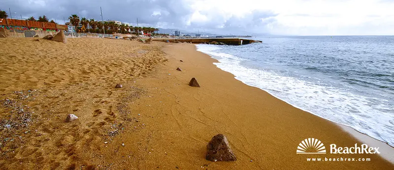 Beach gallery