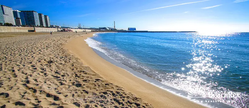 Beach gallery