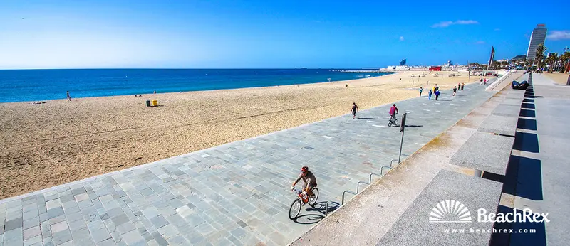 Beach gallery