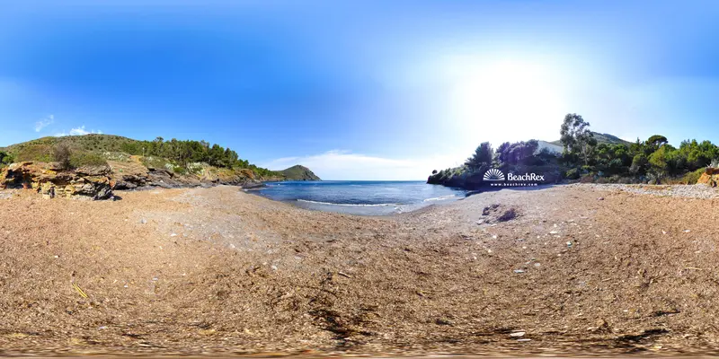 Beach video
