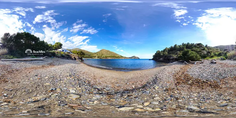 Beach video