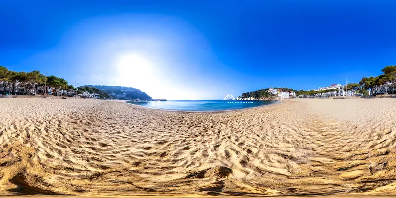 Beach video