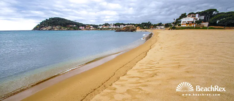 Beach gallery