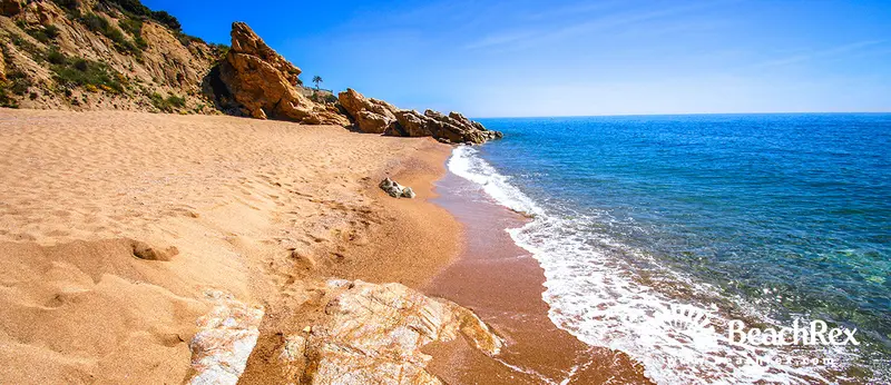 Beach gallery