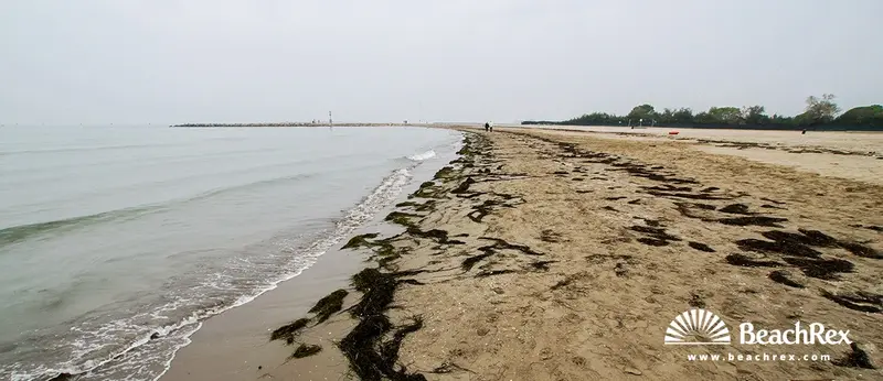 Beach gallery