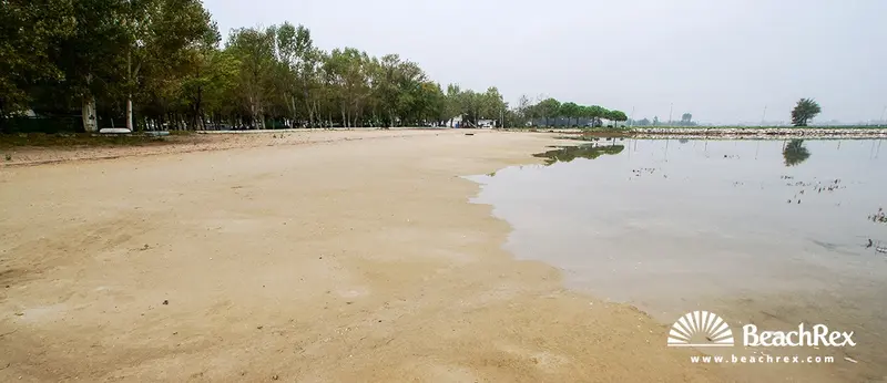 Beach gallery