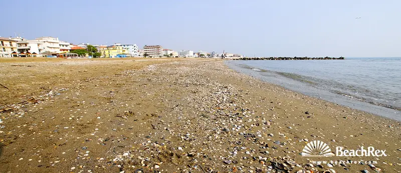 Beach gallery