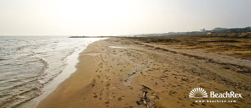 Beach gallery