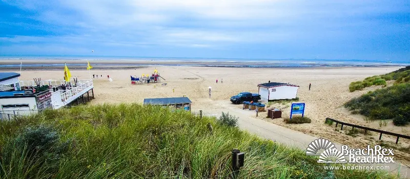 Beach gallery